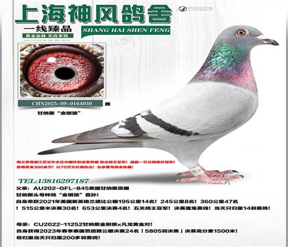 ����˹���������Ǿ�x�����24��