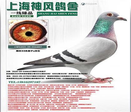 �Ϸ�33��ֱ��x�Ϸ�33����Ů