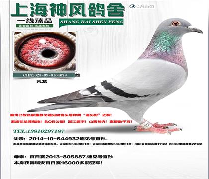 ǧ�򽱽��ټ��ż���