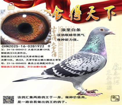 ����139��ֱŮ�������޵�Ѫ��