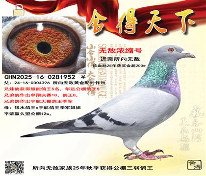 ���ܸ���5��Ѫ�������޵н���