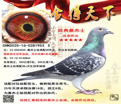 ɣ��ʿ��ʯ��Խ���