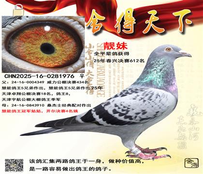 ����612��ƽ����ɣ��ʿ��ʯ���