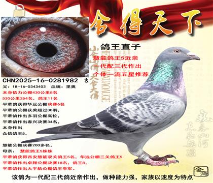 �����������11ֱ��