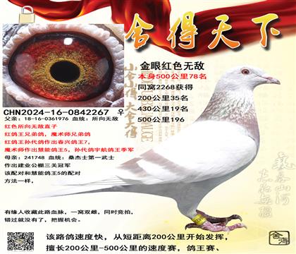 ��ɫ�����޵������죬��������