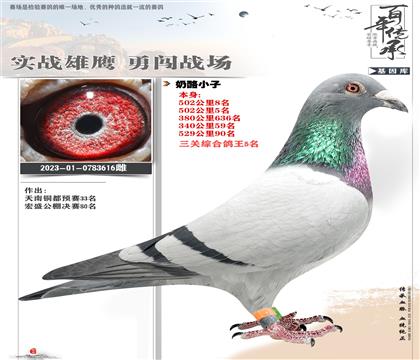 ����С��616����5��