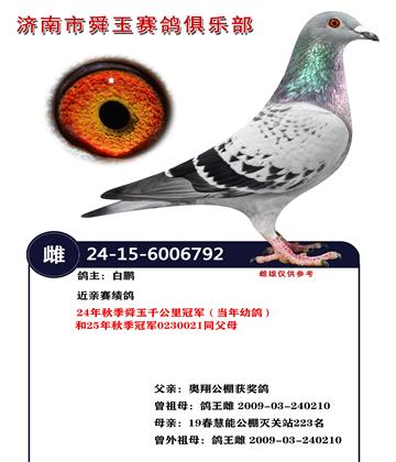 24���＾˴��ǧ����ھ��������׸룩