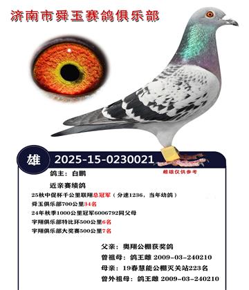 25���дٱ�ǧ���������ܹھ�������1236�������׸룩