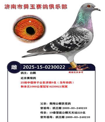 25���дٱ�ǧ�������9���������׸룩