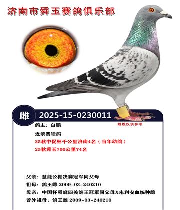 25���дٱ�ǧ�������4���������׸룩