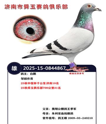 25���дٱ�ǧ�������10��