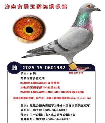 25��˴����ֲ�240.300.500.700�Ĺظ����ھ�