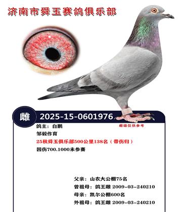 25��˴����ֲ�500����138�������˹飩