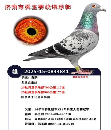 25��˴����ֲ�700����117��