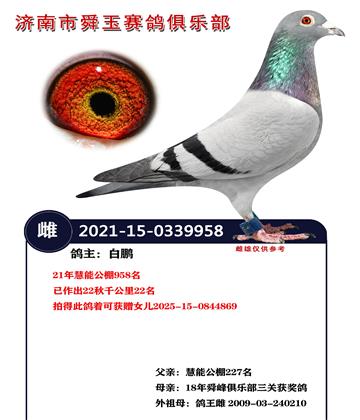 21����ܹ���958��