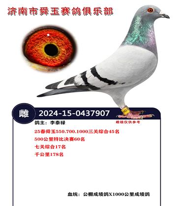 25��˴��550.700.1000�����ۺ�45��