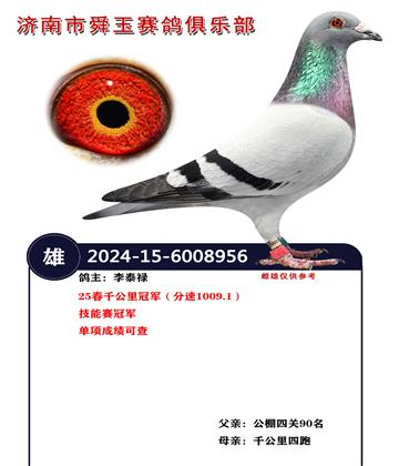 25��ǧ����ھ�������1009.1��