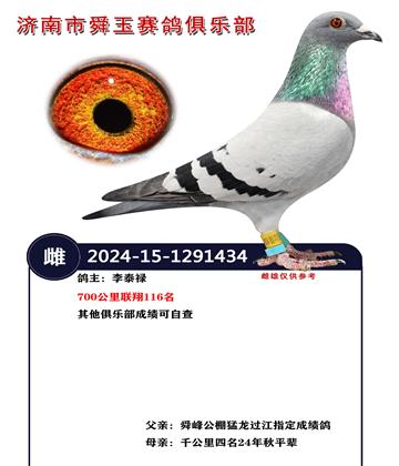 700��������116��