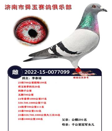 ˴���＾�Ĺ�20��