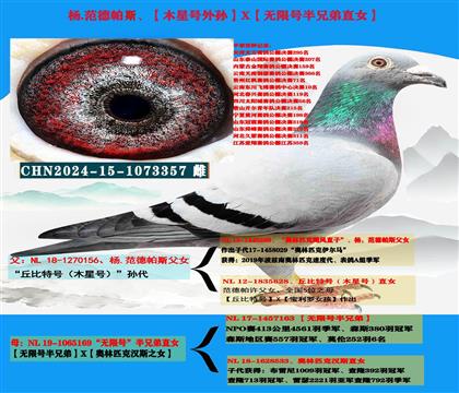 ������˹������غ����X�����޺Ű��ֵ�ֱŮ��