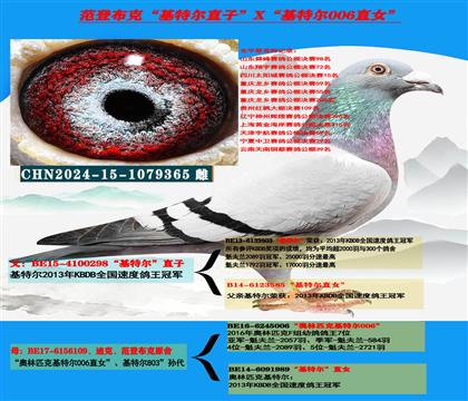 �Ͽ� ���ǲ��ˡ����ض���ֱ��X�����ض�006��ֱŮ