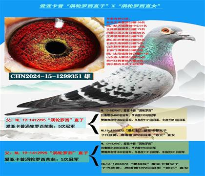 ���ص��Ƽ������ǿ��ա���������ֱ�ӡ�X����������ֱŮ��