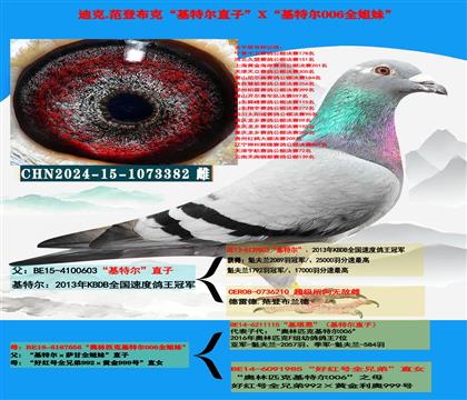 ���ص��Ƽ������ǲ��˻��ض�ֱ��X�����ض�006��ȫ����