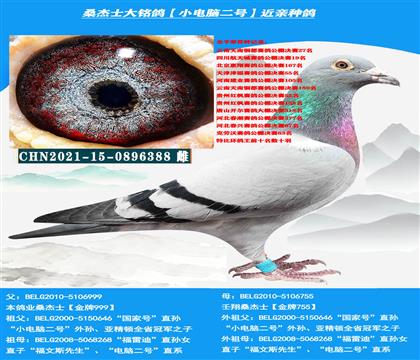 ��ؽ�ĸ���������� �Կ����ͣ� ɣ��ʿ����������ָ�