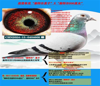 �Ͽ� ���ǲ��ˡ����ض���ֱ��X�����ض�006��ֱŮ