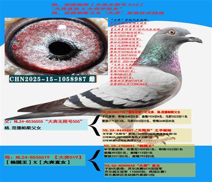 ���ص��Ƽ� ����ר�ң������˹����ֱ�X��������Ů