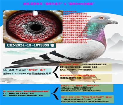 �Ͽ� ���ǲ��ˡ����ض���ֱ��X�����ض�006��ȫ����