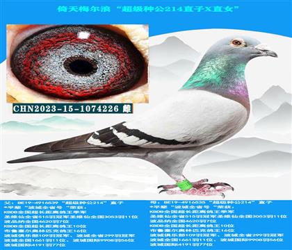 �г�����ר�ߡ�����÷���ˡ������ֹ�214ֱ��XֱŮ��