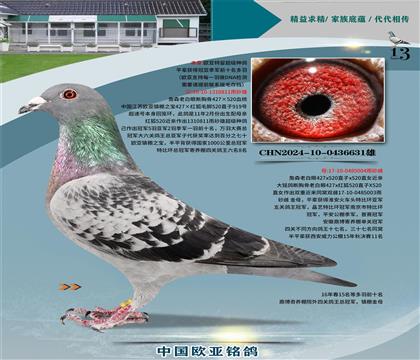 ղɭ427X520ֱ��811X��ĸ004��ĸ