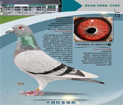 ��.ŷ�߿�ԭ��484ֱ��213X�������ߡ�027