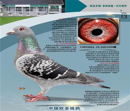 ղɭ919ֱ��603Xΰ��ڰ�281