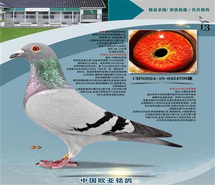 �Ǳ�ԭ�ả����143X�ʼһ�ֱŮ334