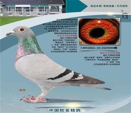 �Ǳ�ԭ�������ֱ��190X�ʼһ�ֱŮ461