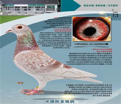 �Ͽ˷��ǲ���ԭ���漣��362X40000��435