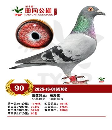 ֣����԰����90��