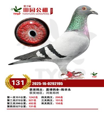 ֣����԰����131��