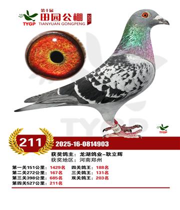 ֣����԰����221��