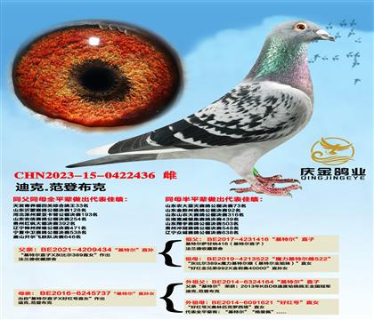 �Ͽ�.���ǲ��ˡ����ض���ֱ��x�����ض���ֱ��Ů