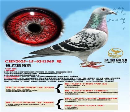 ��.������˹���󱼡�ͬ�����ֵ�x���󱼡�ȫ����ֱŮ