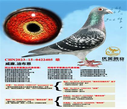 ����.�ϲ���������ƥ��쫷�š�ֱ��x��ī�ƶ��ɡ�ֱŮ