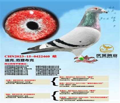 ������ƥ�˻��ض�006����ƽ��x������ƥ�˻��ض�006��ȫ��