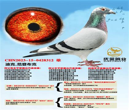 �Ͽ�.���ǲ��ˡ����ض�006��ֱ��x�����ض���ֱ��Ů