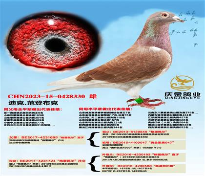 �Ͽ�.���ǲ��ˡ����������ֱ��x�����������ֱ��Ů