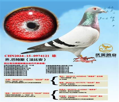 ��.����˹�����Ȱ�������x�����Ȱ�������Ů