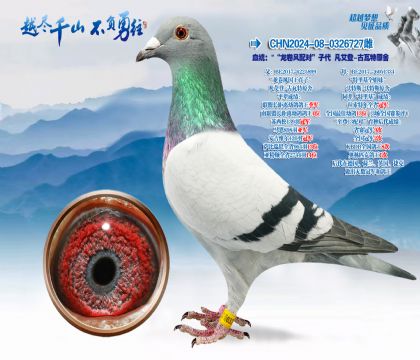 Ѫͳ��������������ԡ��Ӵ�������-������ԭ��