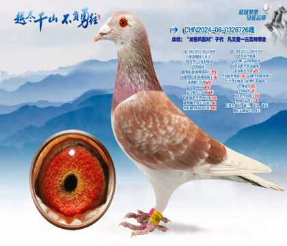 Ѫͳ������������ԡ��Ӵ�������һ������ԭ��